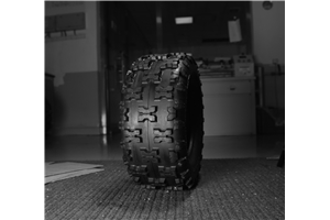 SNÖSLUNGEDÄCK 4.10-4 2pr P5016 TL