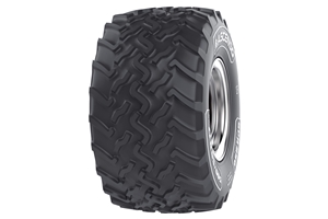 Däck 31x15.5R15 (400/50-15) 122B SPR250 TL
